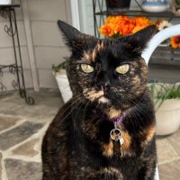 Nann (@nan46937) 's Twitter Profile