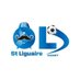 Niort Saint-Liguaire (@olsaintliguaire) Twitter profile photo Niort Saint-Liguaire (@olsaintliguaire) Twitter profile photo