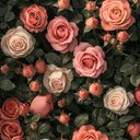 Danny Roosevelt - @DannyRoose9 - Twitter