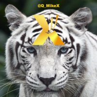 MiKeX (@q_mikex) 's Twitter Profile