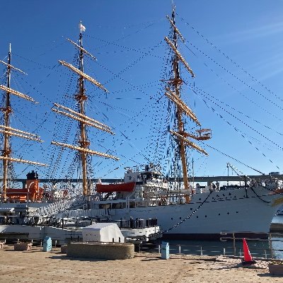 rkrkmygmyg's profile picture. orix宮城くん応援垢 📣 いいねします