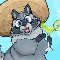 BasedRaccoon (@basedraccoon) 's Twitter Profile