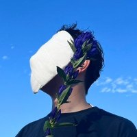 Hiroki Shimazaki (@hi_loki_0x0p) 's Twitter Profile Photo