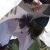 氷雨 (@h_pluie) Twitter profile photo 氷雨 (@h_pluie) Twitter profile photo