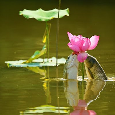 jwwang259178's profile picture. 