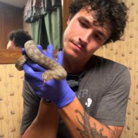 Cory McKinstry (he/him) (@herpetologish) 's Twitter Profile