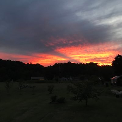 BenH07884759's profile picture. America is beautiful. Ever hopeful that the America First movement will grow and make the USA a place we can all be proud of.   #MAGA #MAHA