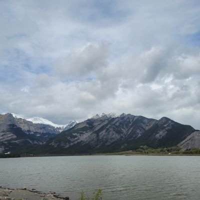 Amy13451's profile picture. جستجو گر