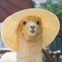 Alpaca Yoshi (@alpaca26406004) Twitter profile photo