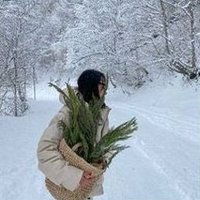 Sesseesl (@sesseeslpxwyme) 's Twitter Profile