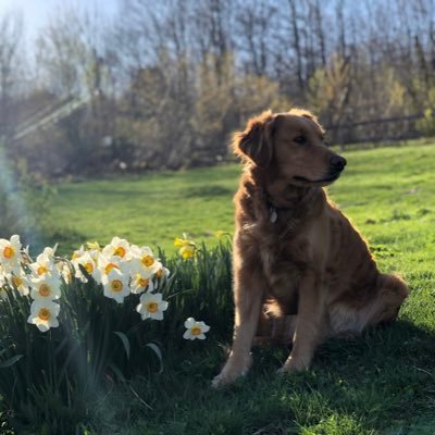 Just a farm mom, doing farm things. sometimes I write about it.