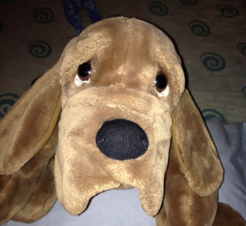 AlexTatahuin's profile picture. 