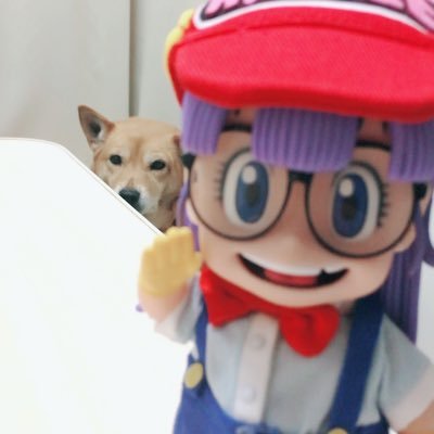 🤡25↑DBD/ファズモ/R6S/ラッキー🐶ྀི(2005/10/05~2024/10/23🌈)もちお🐶(2025/04/27~)
