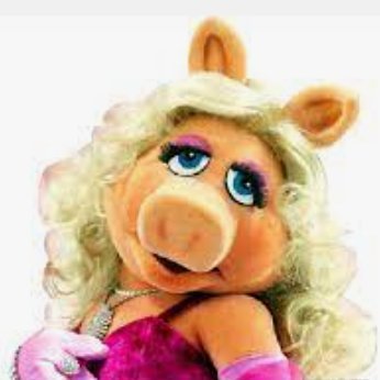 jacque_davis's profile picture. Connecticut Yankee
On CLIMATE:
If we don't get this RIGHT-- Nothing else much matters.