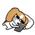 nicetomeetyou (@helloimdoggie) Twitter profile photo nicetomeetyou (@helloimdoggie) Twitter profile photo