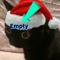 EmptyBrainTrader (@nobraintrader1) 's Twitter Profile Photo EmptyBrainTrader (@nobraintrader1) 's Twitter Profile Photo