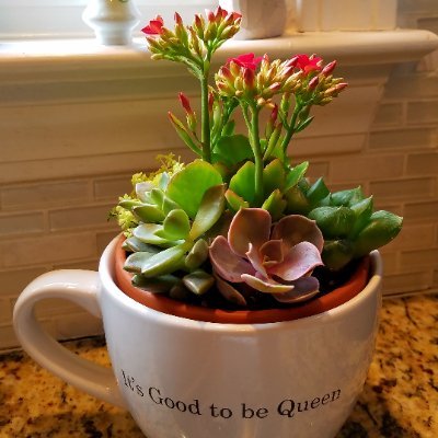 HudeChristian's profile picture. BORN-AGAIN CHRISTIAN; Pro-Life; Conservative; MAGA; John 3:16
NO DM's. I will not answer, so don't waste your time.