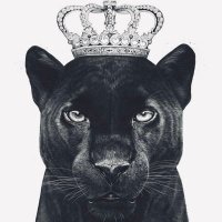 ππ₯π²π πππ―ππ§ (@sevennalya) 's Twitter Profile