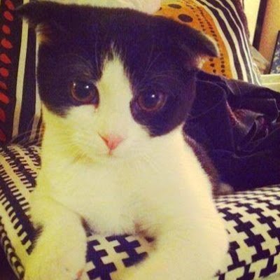 RJ5668421750300's profile picture. 