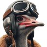SuperOstrich's profile picture. I make mods for #AceCombat and Ace-like games. 

IT Professional, Weightlifter, Sun Enjoyer