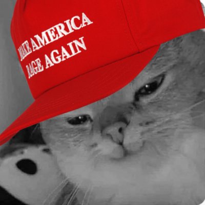 jack_d_senior's profile picture. 