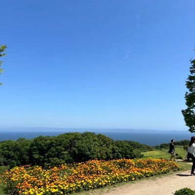 saaaanan333's profile picture. 