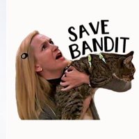 Rachel πππ₯₯ (@backtomee) 's Twitter Profile