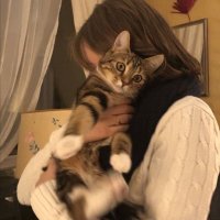 ~ (@lam85f) Twitter profile photo