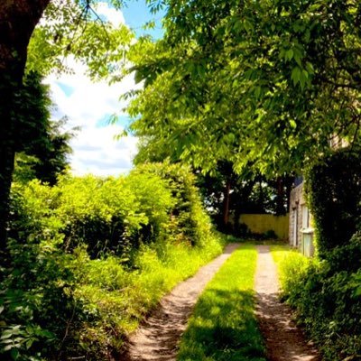 nickk3121's profile picture. …