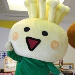 TOFUさんのプロフィール画像
