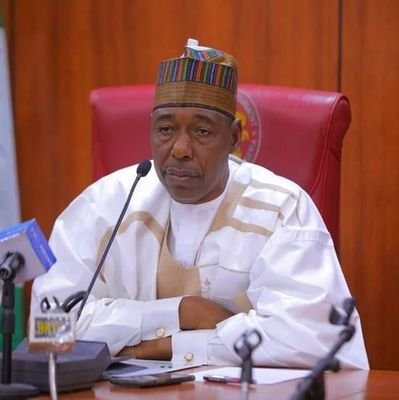 Official Spokesperson and Media Adviser to Borno State Governor