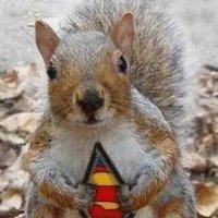 linuxhippie (Bring Back The Duel) (@linuxhippie) 's Twitter Profile Photo linuxhippie (Bring Back The Duel) (@linuxhippie) 's Twitter Profile Photo