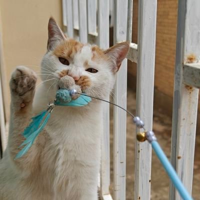 YOLO_FORSUN's profile picture. You only live once.👐🏻
💙💖喜欢TayNew🐻‍❄️🐋
养娃日常（TayNew的棉花娃娃）☞@JErke_CasunW