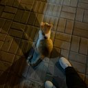 April Irwin - @csmvl18843188 - Twitter