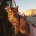 ʀᴀʙɪş (@uykuludunyam_) Twitter profile photo ʀᴀʙɪş (@uykuludunyam_) Twitter profile photo