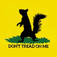 TheTyrannicalTweetr.....🐦💨 (@dubdc40) 's Twitter Profile