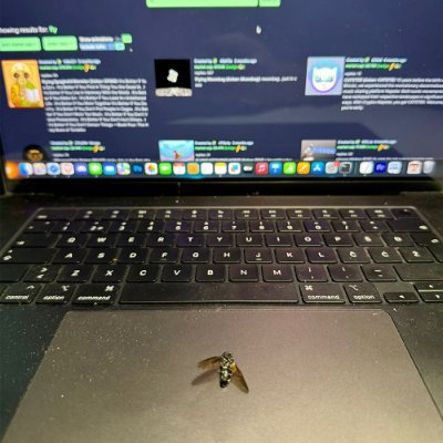 First coin ever launched by a fly.
Uh8EEWFPqp5YFZ1GB3oRiodEiHvx8JUjJjv9kPkpump