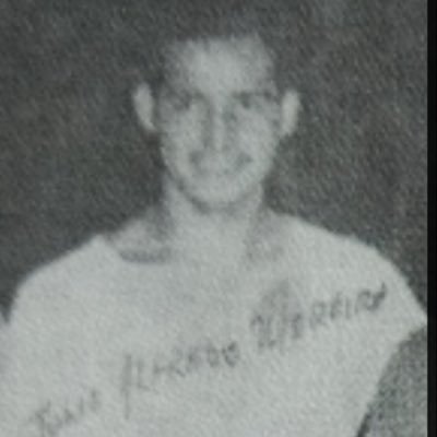 Sealion340's profile picture. 