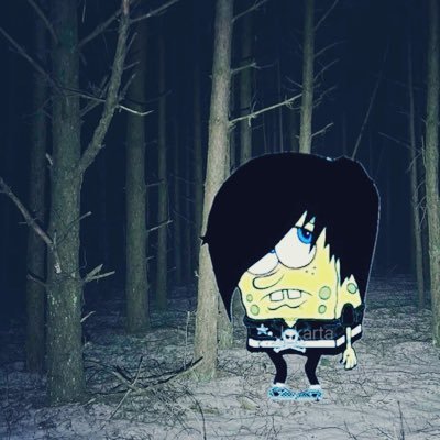 irisknowsshit's profile picture. certified girl perv