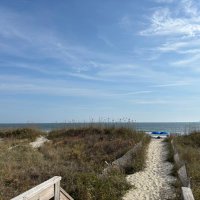 Branli22 (@branli40741096) 's Twitter Profile Photo