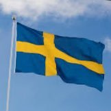 Swedishgayboy25's profile picture. Swedish Guy