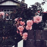 زهره العنزي (@zahrh7523) 's Twitter Profile