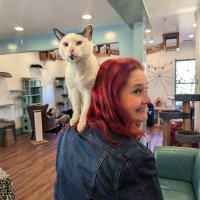 Crazy Redhead (@crazyredranting) 's Twitter Profile
