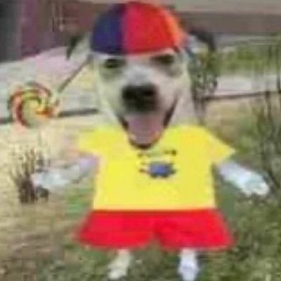 wokeforalll's profile picture. i'm just trying to have a nice time despite knowing facts and information