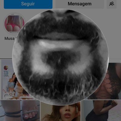 bergrains's profile picture. 