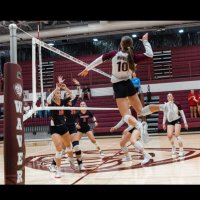 hallie lauenstein (@halliel37650) 's Twitter Profile