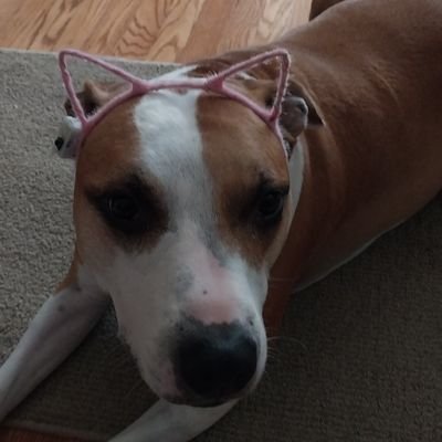 AmyWrig23695650's profile picture. 