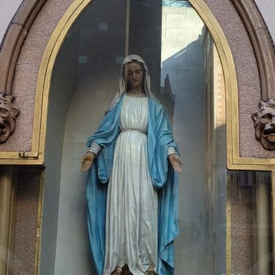 yarenkirkil's profile picture. 