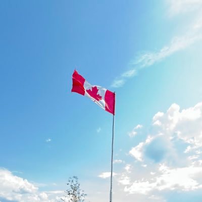 amazingstudent9's profile picture. 