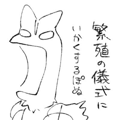 ▼ぽぬっとパラダイス🏝️さんのプロフィール画像